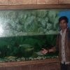 Salman Momin