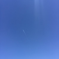 刘东来