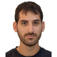 Davide Scaffidi Saggio