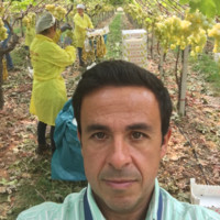 Hugo Piteira