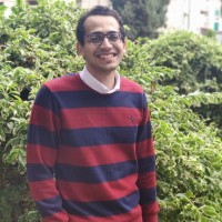 Mohamed Elmeslemany