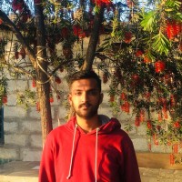 Anurag Acharya
