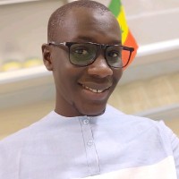 Mamadou Lamine Fall