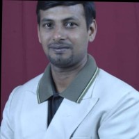 Mahadevan N N