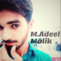 Adeel Malik