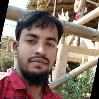 Md Anamul