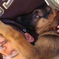 Miguel Santos Álvarez