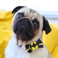 Batman Da Dobra