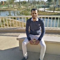 Ahmed Abo Elnour