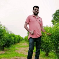 Ravinder Thakur
