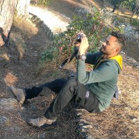 MD FAIZAN QUMAR