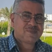 Mohamed Abosariea