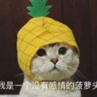 巫佳敏