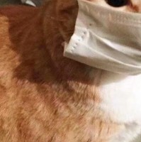 金欣怡