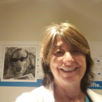 Rita Simonetta