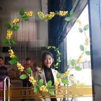 May Thingyan