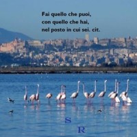 Sarda Recuperi Srl