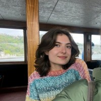 Dilara İniş