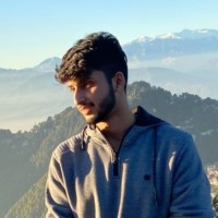 Aradhay Gupta