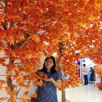 Siti Romzanah