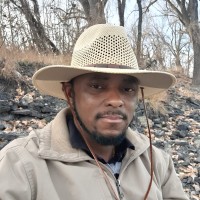 Ange Tchamani P