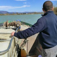 Fabio Nunzio Antonio Brogna