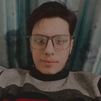 Ammar Saleem
