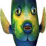 John Dory