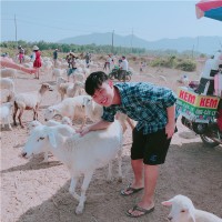 Thien Huynh