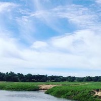 刘云静