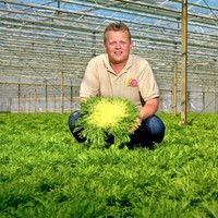 dirk declercq