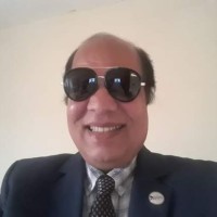 Hassan El Shamy