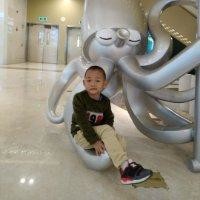 方红波