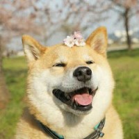 张益达