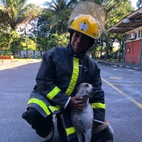 Luccas Freitas