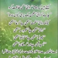 Muzamil Ramzan