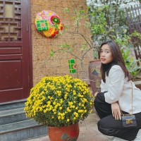 Hai Nguyen (Daisy)