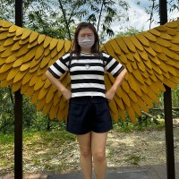 Scandy lim