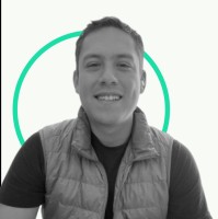 Ing. Raúl Negrete
