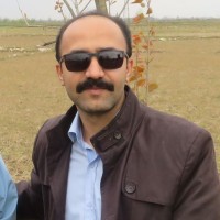Morteza Jamali