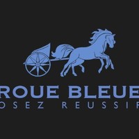 Alice Roue Bleue
