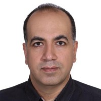 Hamidreza Shafiee
