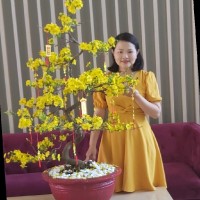 Huynh Ai Phuong
