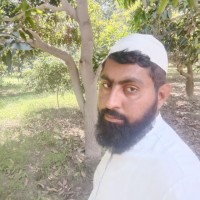 Muhammad Tariq Alvi