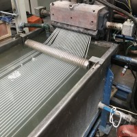 Mauricio Gonzalez Montiel