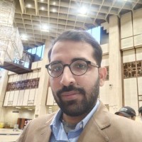 Ameer Ali