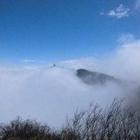 范汪洋