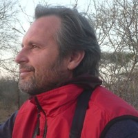Fulvio Bertamini