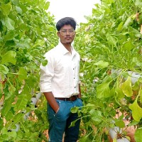 Vaishak K