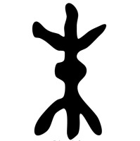 J Z